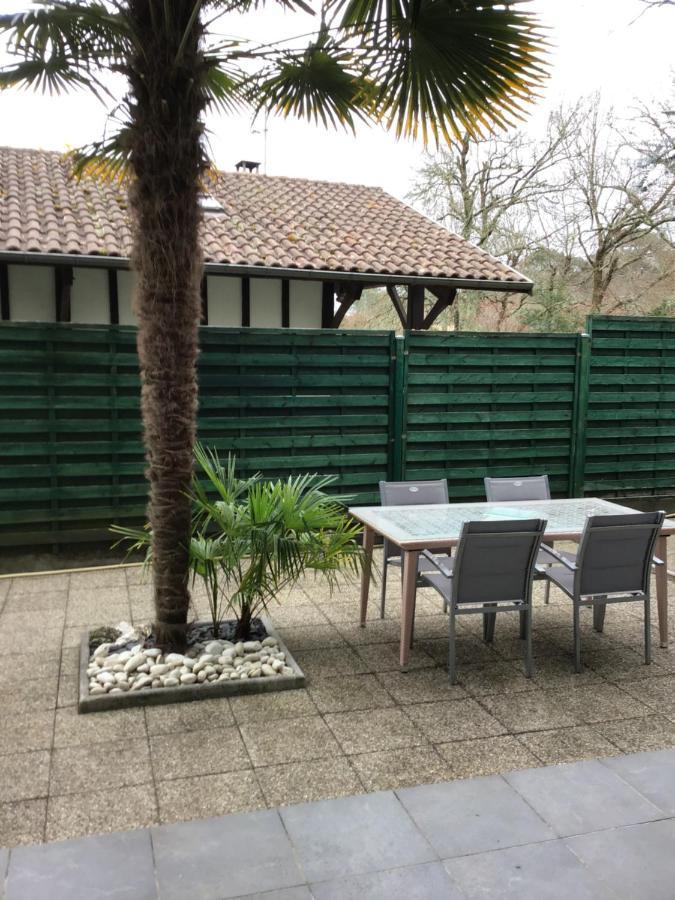 Agreable Appartement A 1Km Du Centre De La Teste-De-Buch Exteriör bild